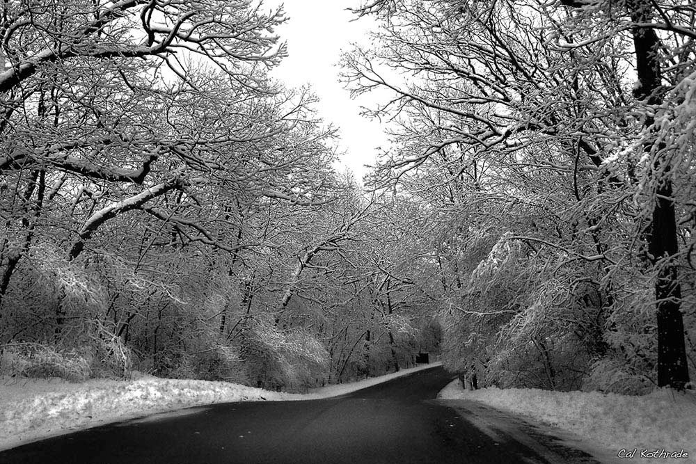 road through snow covered trees