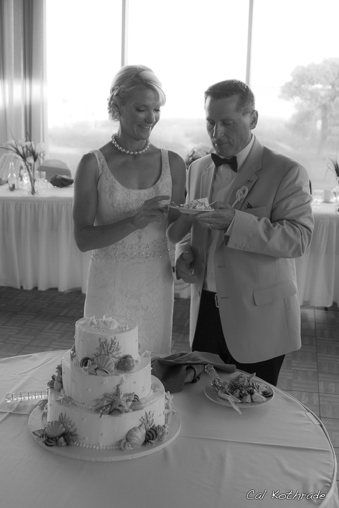 Bride and Groom cut cake on Wedding day.
