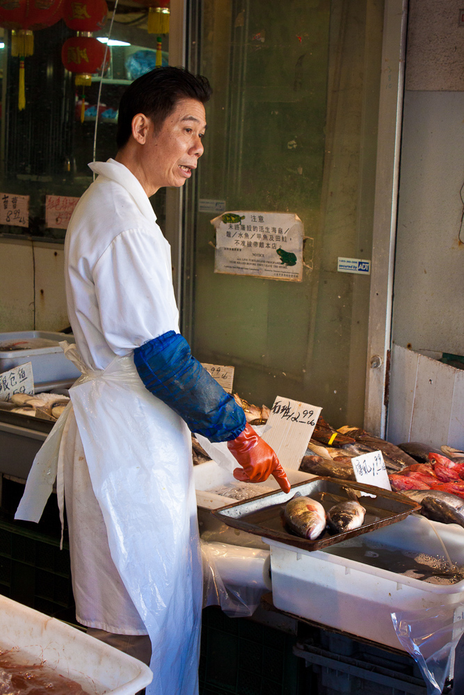 Fish store in China Town San Francisco, California.
