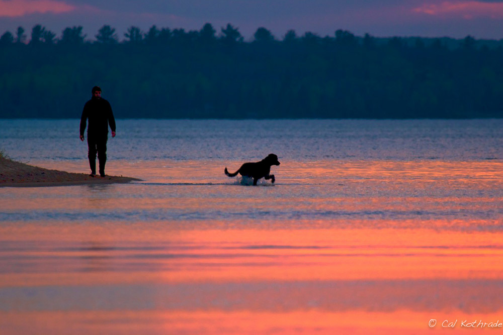 Dog and owner at sunset