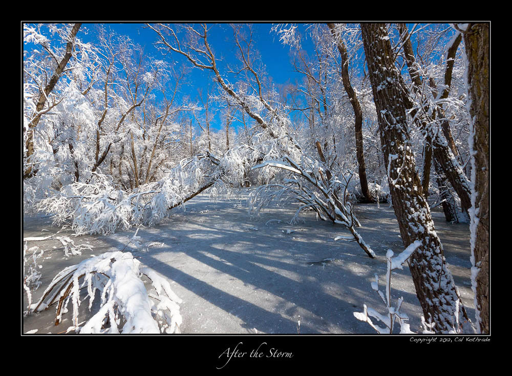 Frozen winter wonderland